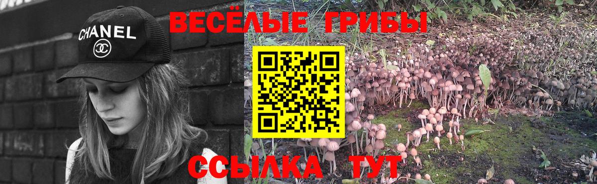 Псилоцибиновые грибы ЛСД  купить  сайты  Тара  Вход с VPN 